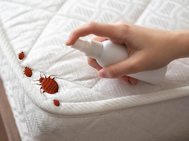 Best Pest Exclusion Services  in Waukon, IA